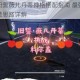 深空之眼旧誓薇儿丹蒂神格搭配指南 最强组合方案与实战配装思路详解