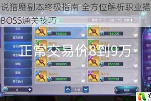 诺亚传说猎魔副本终极指南 全方位解析职业搭配装备选择与BOSS通关技巧