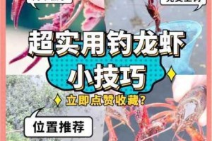 创造与魔法小龙虾垂钓攻略：高效钓点解析与快速收集技巧全揭秘