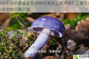 诛仙手游中蓝瘦香菇宠物究竟怎么获得呢？且看蓝瘦香菇宠物获取介绍