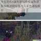 生化危机4重制版独角仙挂饰获取攻略详细位置与入手方法全解析