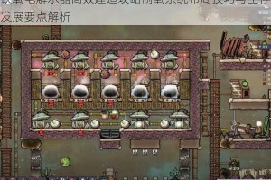 缺氧电解水器高效建造攻略制氧系统布局技巧与生存发展要点解析