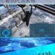 星际卫队电脑版模拟器下载安装全攻略 手把手教你畅玩PC端教程