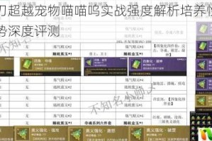疾风之刃超越宠物喵喵呜实战强度解析培养性价比与技能优势深度评测