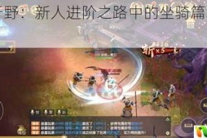 龙战于野：新人进阶之路中的坐骑篇章大揭秘