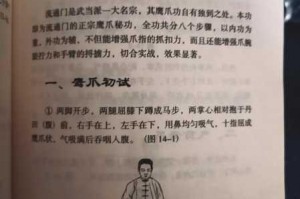 我要当掌门中究竟哪门内功并非独门武学，人人皆可习得？