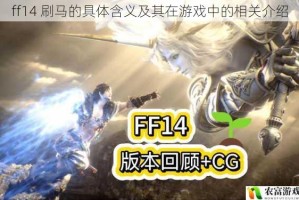 ff14 刷马的具体含义及其在游戏中的相关介绍