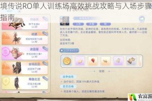 仙境传说RO单人训练场高效挑战攻略与入场步骤详解指南