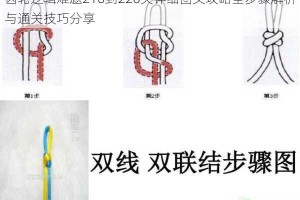 齿轮逻辑难题216到220关详细图文攻略全步骤解析与通关技巧分享