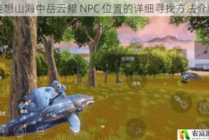 妄想山海中岳云鲲 NPC 位置的详细寻找方法介绍