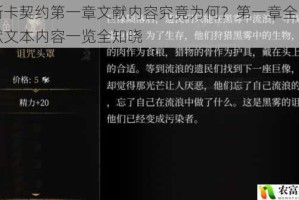 帕斯卡契约第一章文献内容究竟为何？第一章全收集文献文本内容一览全知晓