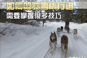 冰原守卫者中雪橇减体力的效果是否存在叠加情况呢？这一疑问值得深入探讨