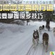 冰原守卫者中雪橇减体力的效果是否存在叠加情况呢？这一疑问值得深入探讨