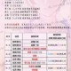 恋与制作人精英关卡14-1三星完美通关攻略图文详解与阵容搭配技巧
