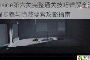 Inside第六关完整通关技巧详解全流程步骤与隐藏要素攻略指南