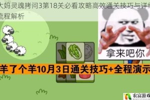 大妈灵魂拷问3第18关必看攻略高效通关技巧与详细流程解析
