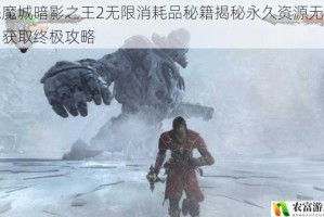 恶魔城暗影之王2无限消耗品秘籍揭秘永久资源无限制获取终极攻略