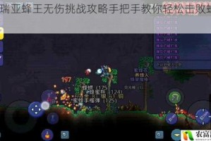 泰拉瑞亚蜂王无伤挑战攻略手把手教你轻松击败蜂后BOSS