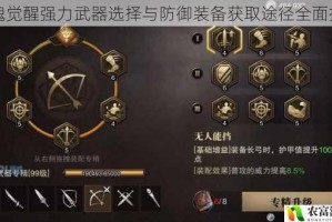 猎魂觉醒强力武器选择与防御装备获取途径全面指南