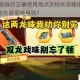 寻找 cf 龙珠的正确使用地点及相关攻略指南，cf 龙珠究竟在哪里使用呢？