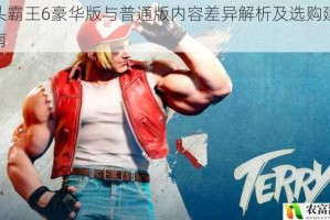 街头霸王6豪华版与普通版内容差异解析及选购建议指南