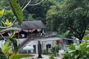 模拟山庄深度评测真实体验与特色玩法带你揭秘山庄趣味之旅