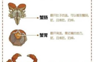 悠长假期螃蟹捕捉地点分布与高效获取技巧全攻略解析