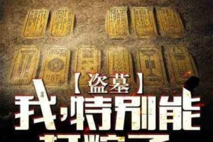 详细介绍新盗墓笔记中粽子的各种玩法及特点