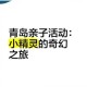 探秘精灵世界奇幻之旅畅游神秘国度体验独特魅力与趣味玩法
