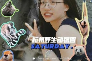 深度解析逃离无人的动物园通关攻略及关键要点