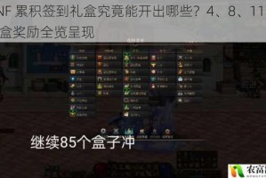 DNF 累积签到礼盒究竟能开出哪些？4、8、11 周礼盒奖励全览呈现