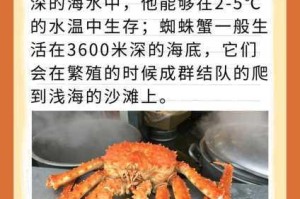 恶果之地全蜘蛛蟹攻略大揭秘：蜘蛛蟹究竟该怎么打？