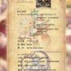四叶草剧场竞技场标记流制霸攻略高效阵容搭配与实战技巧全解析