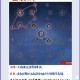 永劫无间全角色连招技巧解析 掌握高手进阶秘笈提升实战表现