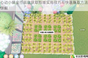 心动小镇金币高效获取指南实用技巧与快速赚取方法详解