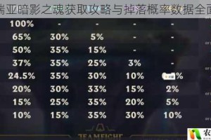 泰拉瑞亚暗影之魂获取攻略与掉落概率数据全面解析