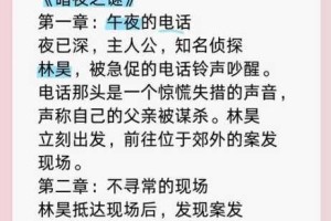 暗夜谜影惊变骤起无名英雄密码暗藏玄机待智者破解终极真相