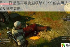 巫师 3：狂猎最高难度越级杀 BOSS 的实用技巧大揭秘及详细攻略