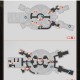 崩坏星穹铁道空间站黑塔币全收集详细攻略大揭秘