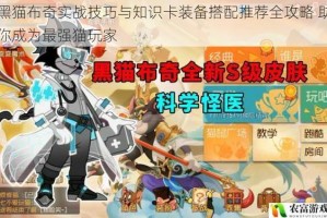 黑猫布奇实战技巧与知识卡装备搭配推荐全攻略 助你成为最强猫玩家