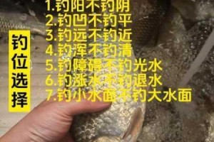 玛娜希斯回响中鲫鱼的具体垂钓位置全面一览及详细攻略