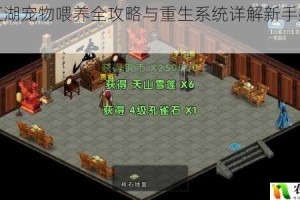 濡沫江湖宠物喂养全攻略与重生系统详解新手必看指南