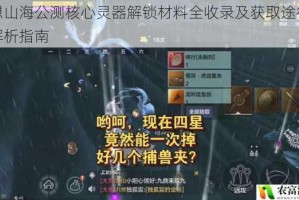 妄想山海公测核心灵器解锁材料全收录及获取途径深度解析指南