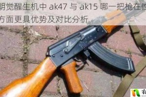 黎明觉醒生机中 ak47 与 ak15 哪一把枪在性能等方面更具优势及对比分析