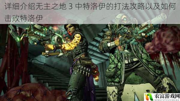 在无主之地 3 的广袤世界中,特洛伊无疑是一个极具挑战性的敌人。他那强大的火力和狡猾的战术,让许多玩家在与他的交锋中吃尽苦头。今天,我们就来详细探讨无主之地 3 中特洛伊的打法攻略,以及如何击败这个难缠的对手。让我们一起深入了解,揭开特洛伊的神秘面纱,为战胜他做好充分准备。