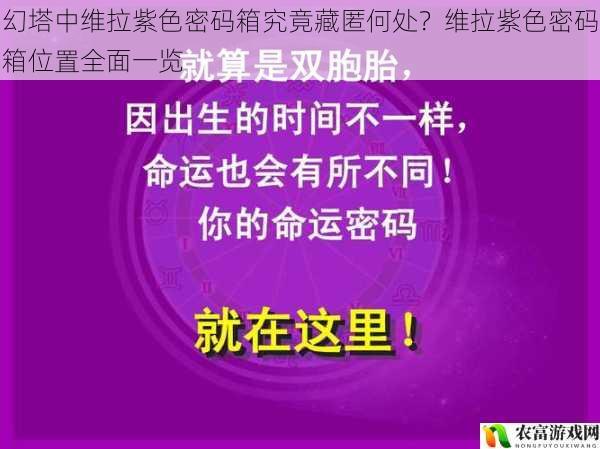 观点：神秘洞穴是一个容易被忽视但却藏有维拉紫色密码箱的地方。