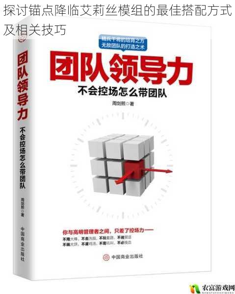 权威引用：游戏团队合作专家指出，“团队成员之间的分工与协作是模组发挥实力的重要保障。”