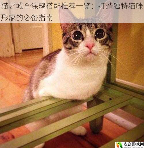 在当今的社交媒体时代,猫咪形象的打造成为了一种时尚潮流。据相关数据统计,在各大社交平台上,与猫咪相关的内容浏览量高达数十亿次,而拥有独特猫咪形象的账号往往能获得更多的关注和点赞。例如,某知名宠物博主通过精心搭配猫咪的涂鸦,使其账号在短短几个月内粉丝量突破百万。这种现象引发了人们对猫之城全涂鸦搭配的关注,将为大家详细介绍猫之城全涂鸦搭配的推荐,帮助你打造独特的猫咪形象。