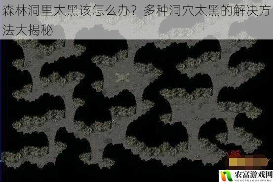 据相关数据统计，全球约有 20%的洞穴因过于黑暗而鲜为人知，每年因在黑暗洞穴中迷失或遭遇危险的事件屡见不鲜。例如，[具体热点事件]中，几名探险者在森林洞穴中因光线不足而迷失方向，险些遭遇生命危险。这充分凸显了森林洞里太黑该怎么办这一问题的紧迫性和重要性。将从 5 个方面拆解森林洞里太黑该怎么办？多种洞穴太黑的解决方法大揭秘，并提供建议和观点。