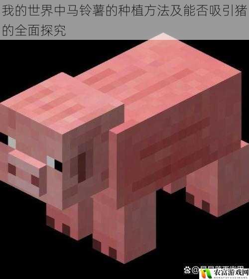 我的世界中马铃薯的种植方法及能否吸引猪的全面探究